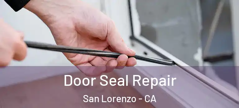  Door Seal Repair San Lorenzo - CA