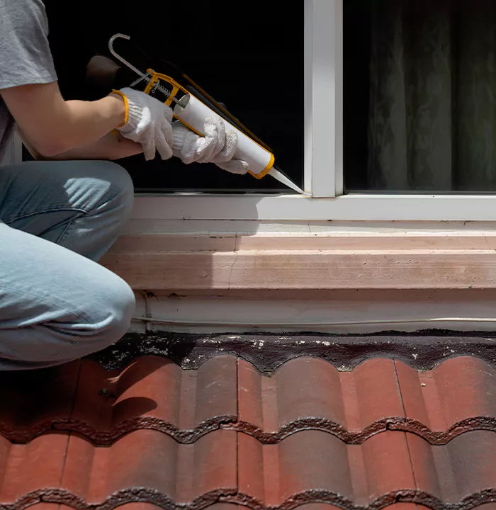 Roof Window Services in San Lorenzo, California