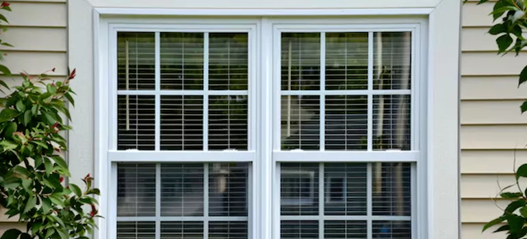 Custom Double Hung Windows in San Lorenzo, CA