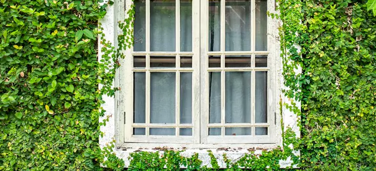 Garden Window Repair Near Me in San Lorenzo, CA