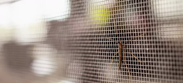 Repair Mosquito Mesh For Windows in San Lorenzo, CA