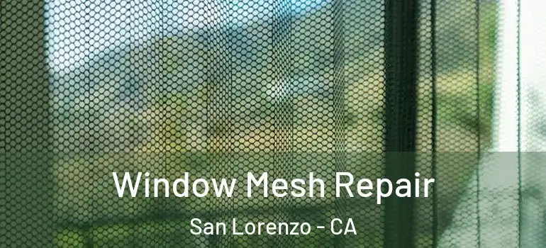  Window Mesh Repair San Lorenzo - CA