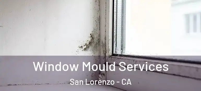  Window Mould Services San Lorenzo - CA